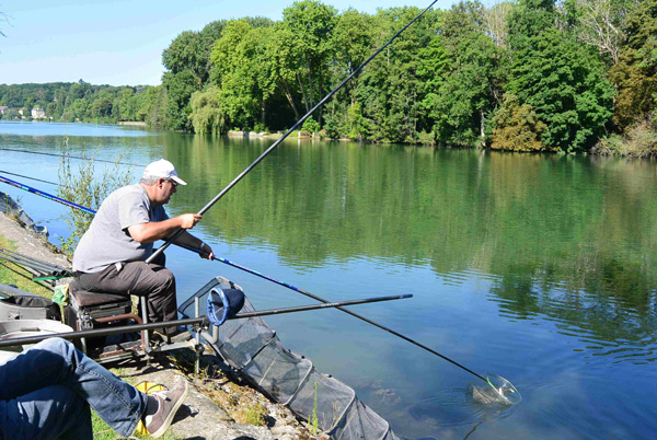 Concours de pêche à Hericy sur Seine en 2017