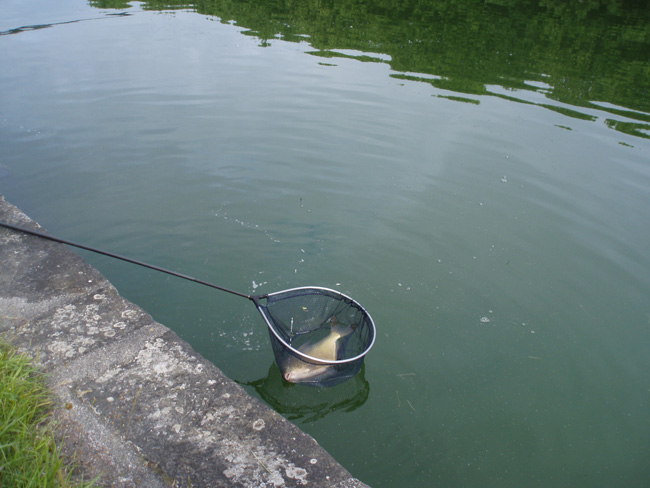 concours de pêche