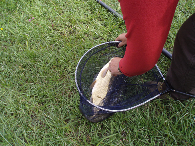 concours de pêche